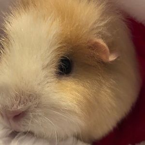 Meet your Posher, Tanya